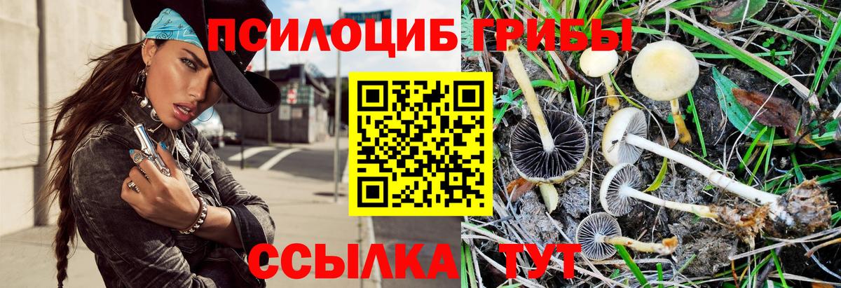 Галлюциногенные грибы ЛСД Обнинск